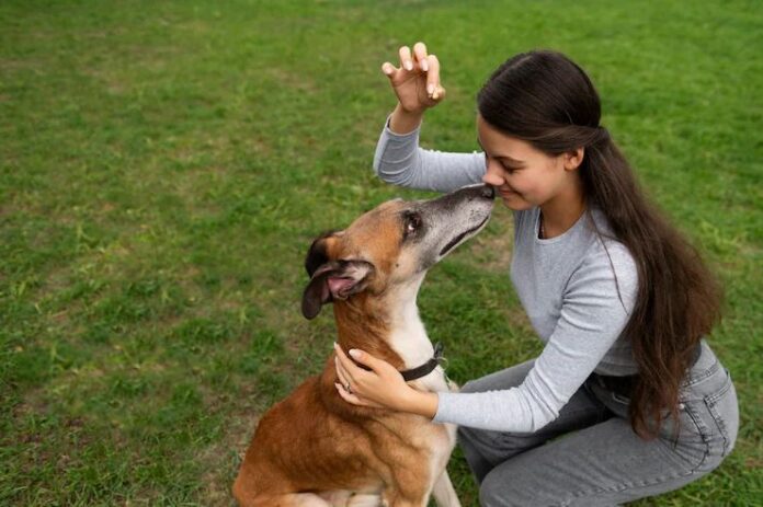 Convivência com animais